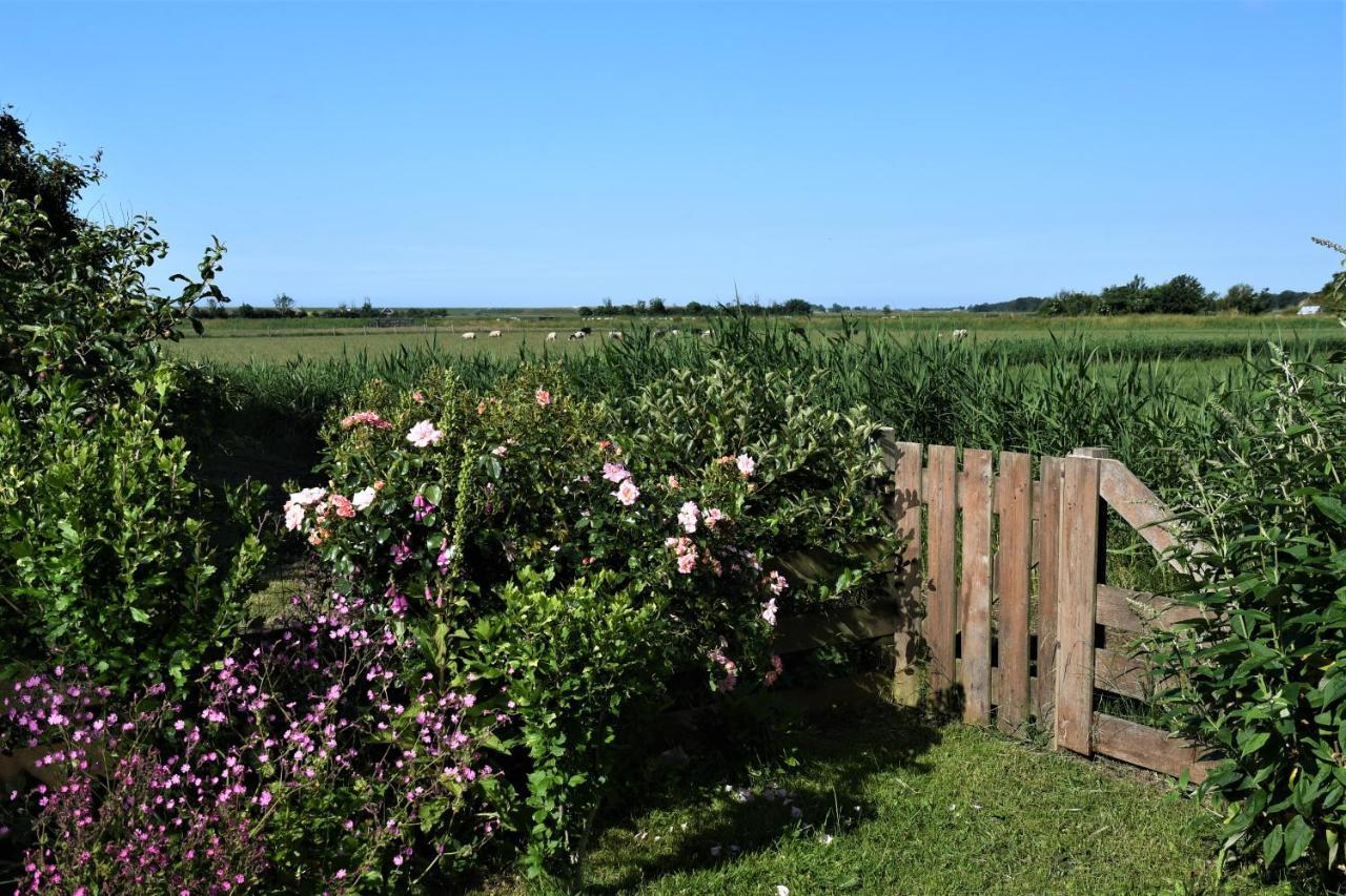 Wadden Eiland Bed En Breakfast Op Texel Oudeschild Eksteriør billede